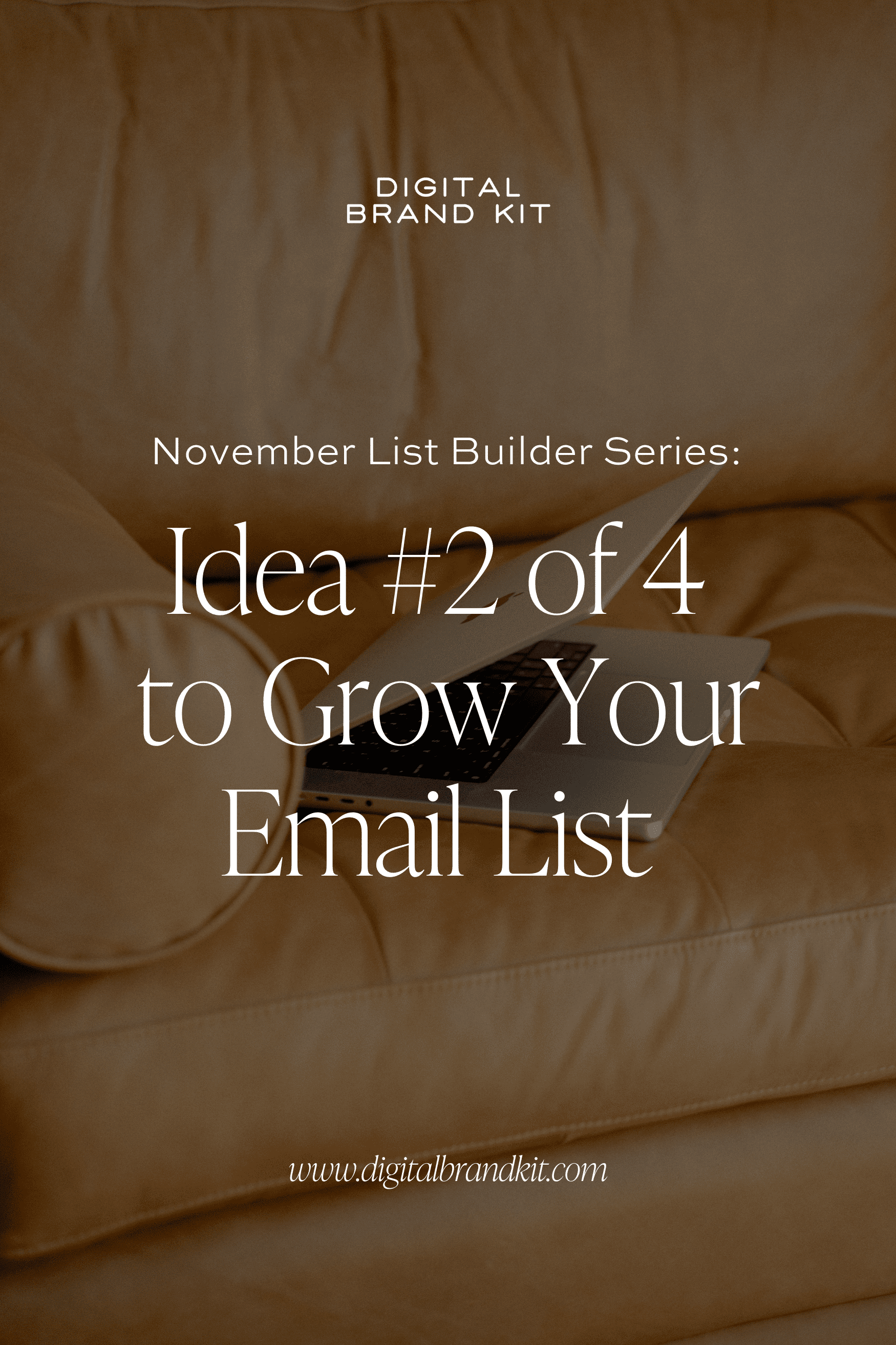 Idea #2 of 4 to grow your email list